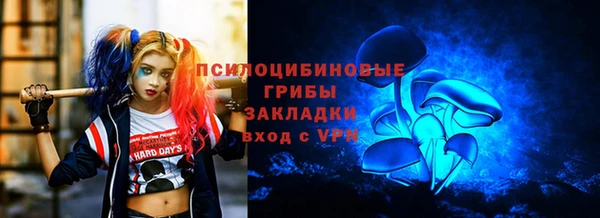 прущие грибы Пролетарск