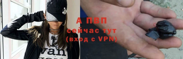 стаф Приозерск