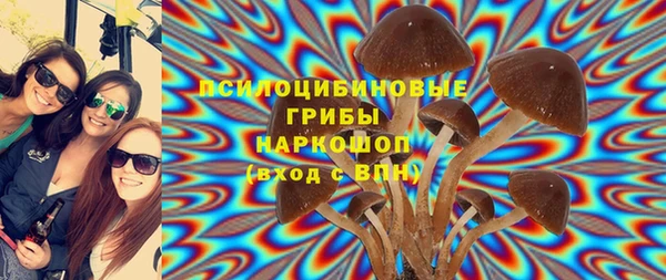 mix Протвино