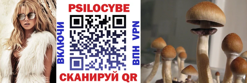 купить наркотик  Судогда  кракен ССЫЛКА  Псилоцибиновые грибы мицелий 